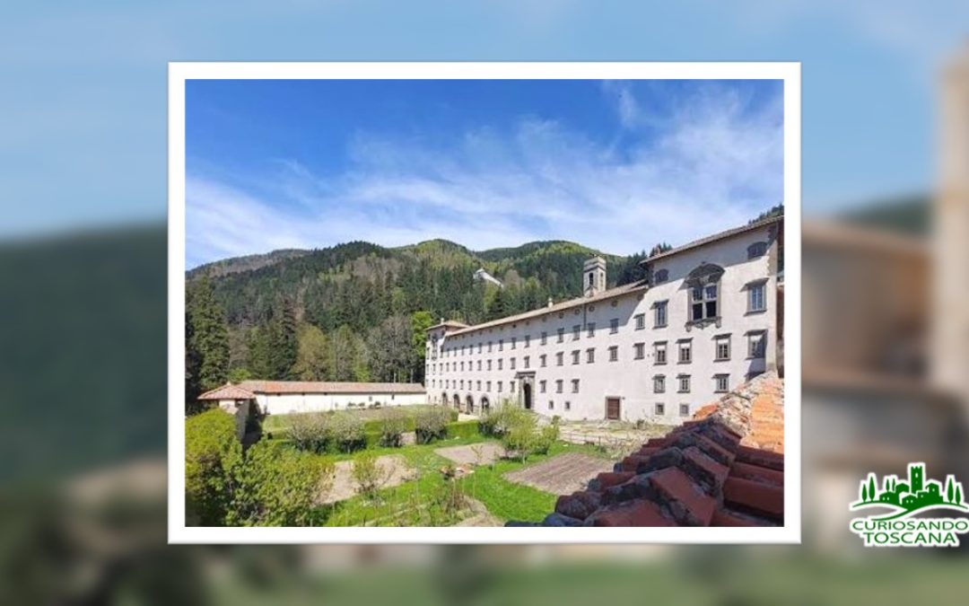Abbazia di Vallombrosa – (FI)