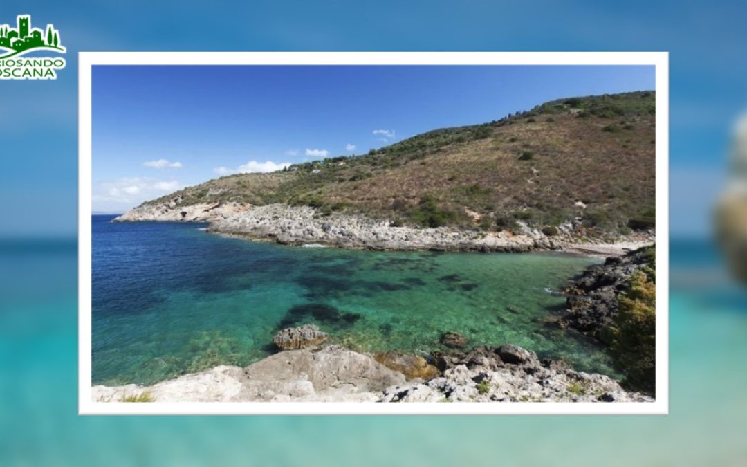 Cala Cacciarella – (GR)