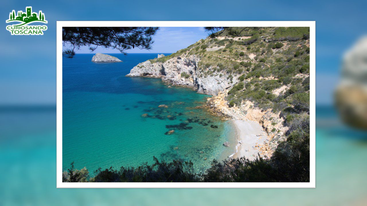 cala del gesso