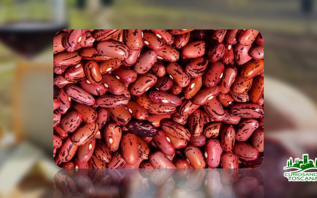 Fagiolo rosso di Lucca