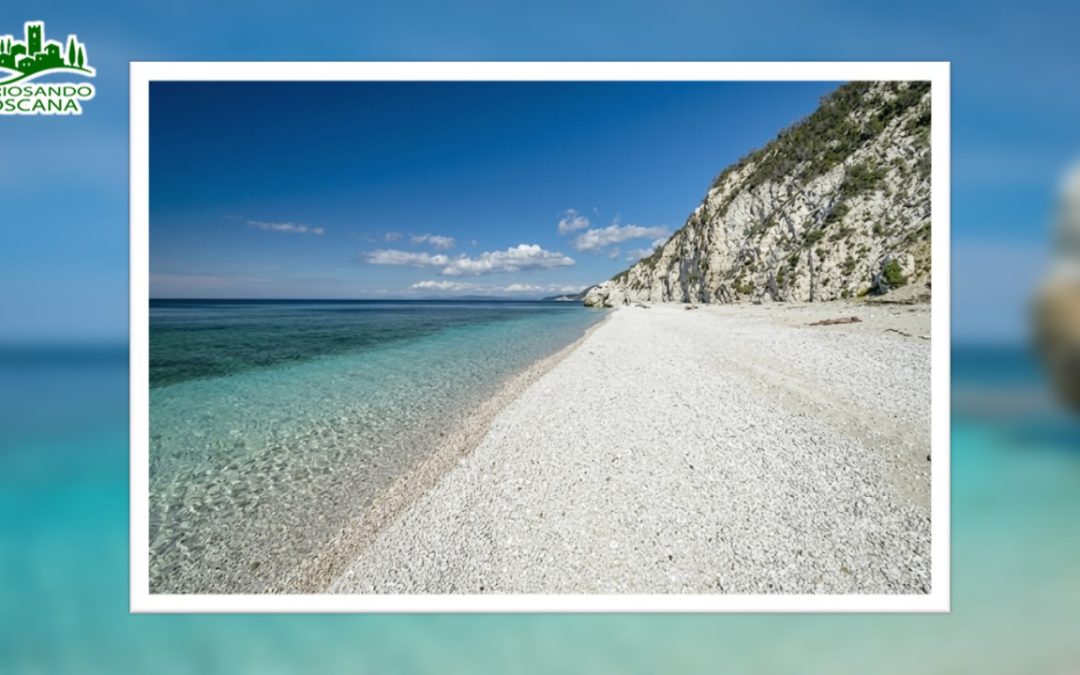 Isola D’Elba – (LI)