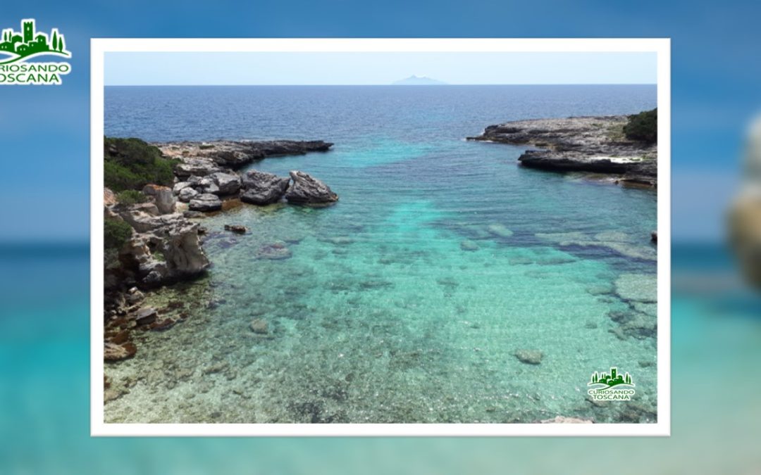 Isola di Pianosa – (LI)