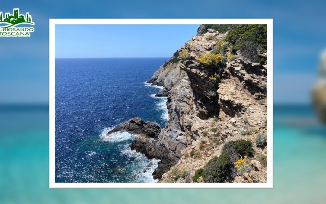 Isola di Gorgona – (LI)