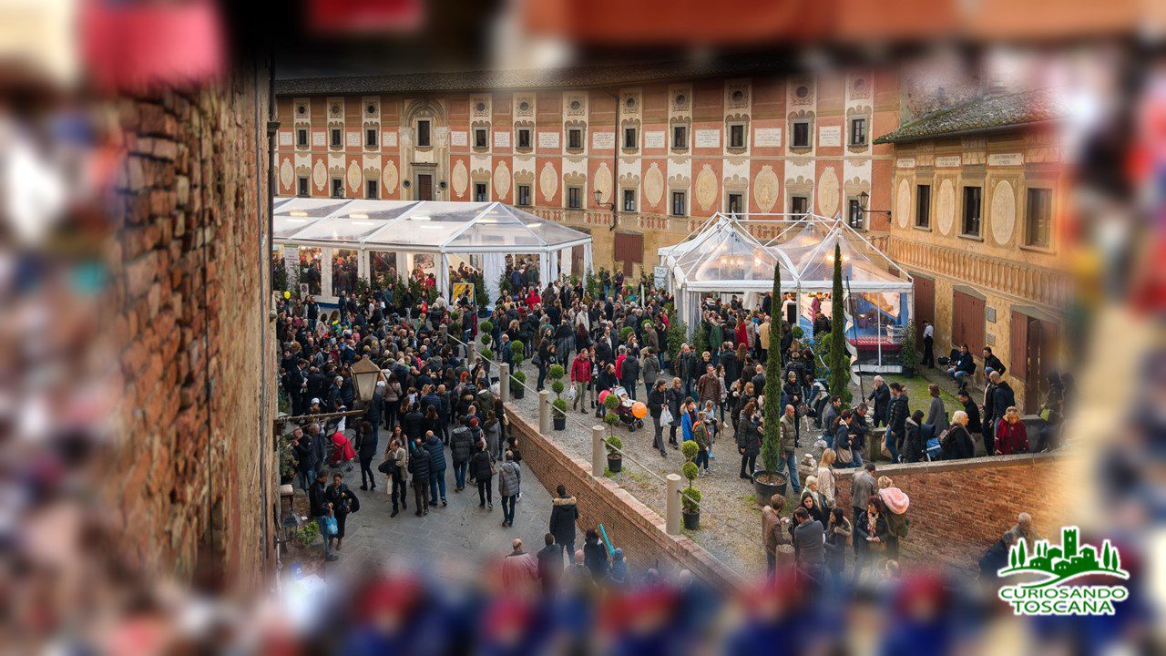 mostra mercato tartufo San Miniato
