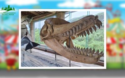 Museo di Storia Naturale – Certosa di Calci – (PI)