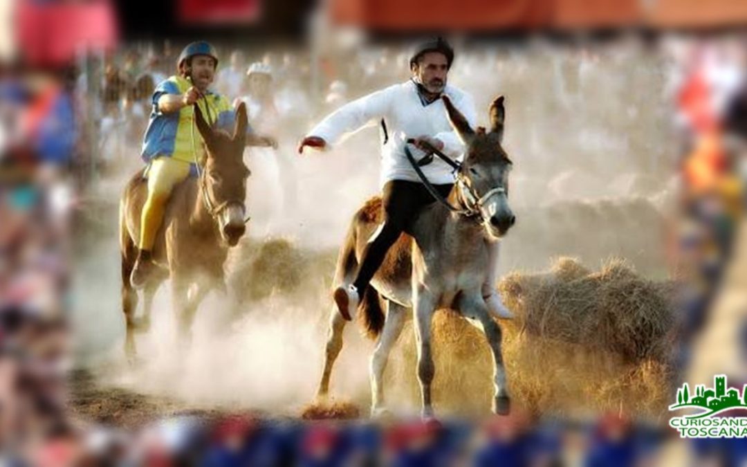 Palio dei Micci – Querceta – (LU)