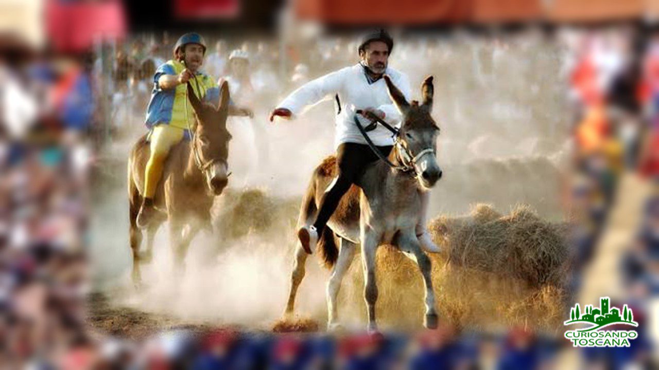 palio dei micci querceta