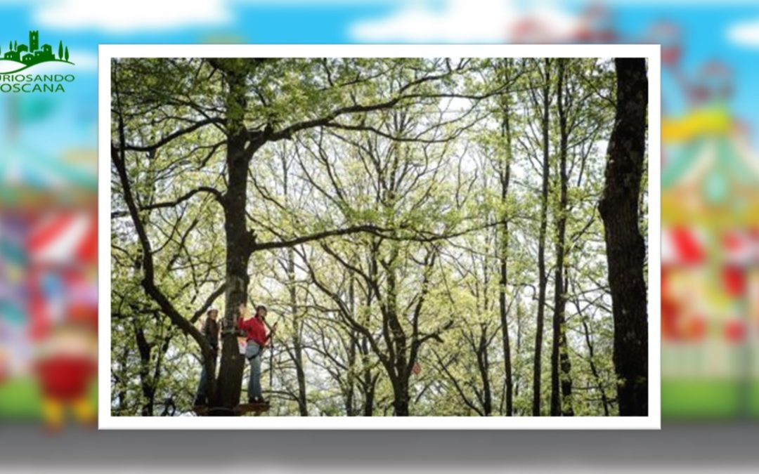 Parco giochi Il Gigante – (FI)