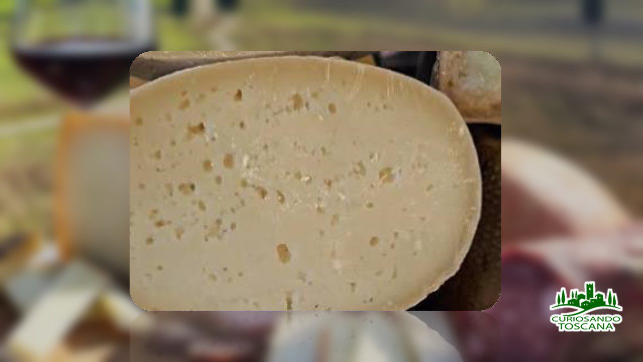 pecorino delle balze volterrane