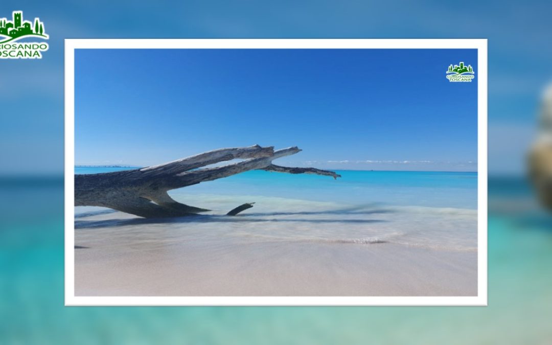 Spiagge Bianche – (LI)