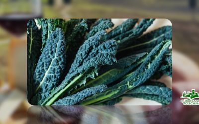 Cavolo Nero