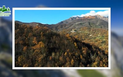 Lunigiana